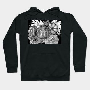 Pumpkins and mushrooms Hoodie